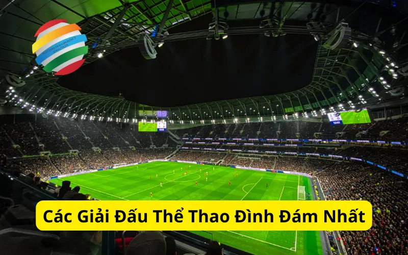 Các Giải Đấu Thể Thao Đình Đám Nhất