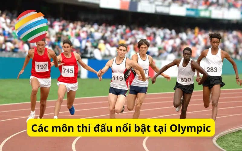 Các môn thi đấu nổi bật tại Olympic