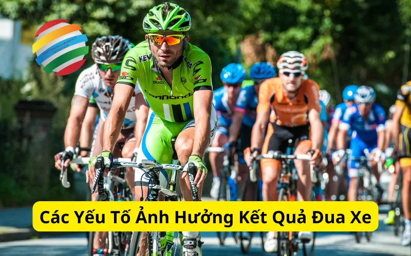 Các Yếu Tố Ảnh Hưởng Kết Quả Đua Xe