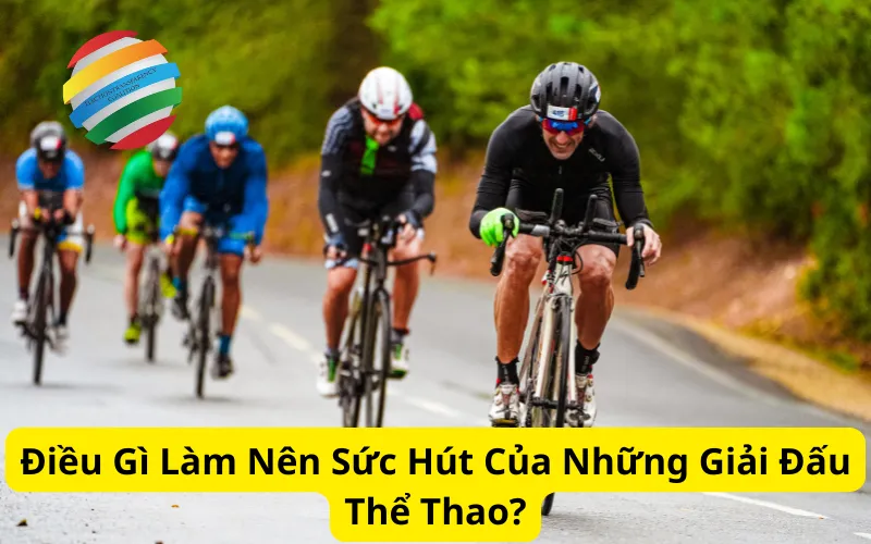 Điều Gì Làm Nên Sức Hút Của Các Giải Đấu Thể Thao