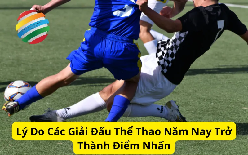 Lý Do Các Giải Đấu Thể Thao Năm Nay Trở Thành Điểm Nhấn