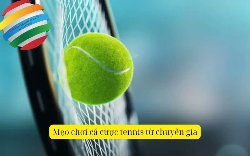 Mẹo chơi cá cược tennis từ chuyên gia