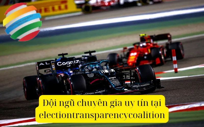 Đội ngũ chuyên gia uy tín tại electiontransparencycoalition