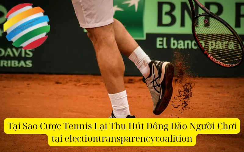 Tại Sao Cược Tennis Lại Thu Hút Đông Đảo Người Chơi tại electiontransparencycoalition