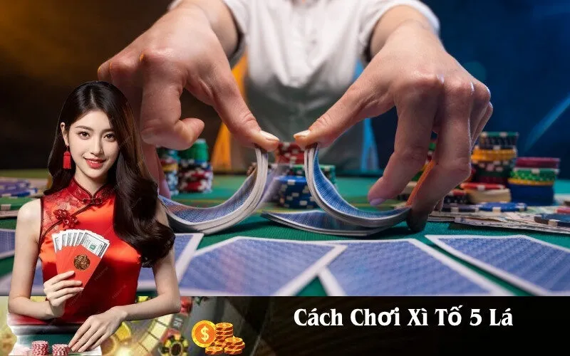 Cách Chơi Xì Tố 5 Lá
