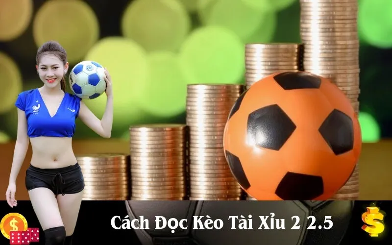 Cách Đọc Kèo Tài Xỉu 2 2.5