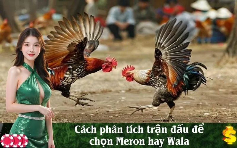 Cách phân tích trận đấu để chọn Meron hay Wala
