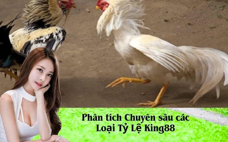 Phân tích Chuyên sâu các Loại Tỷ Lệ King88